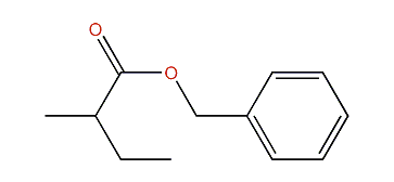 Benzyl 2-methylbutanoate